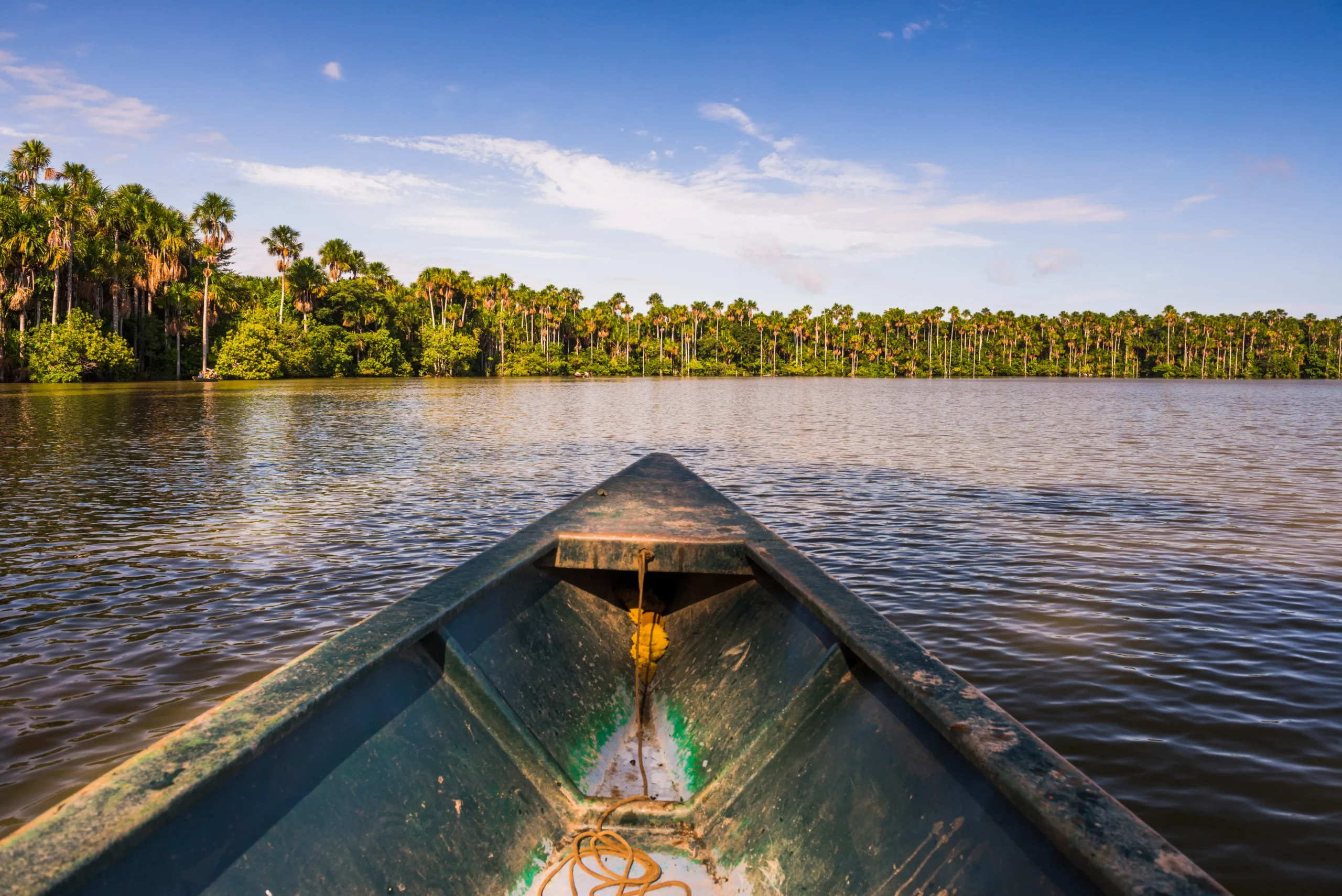 Amazonas Destino