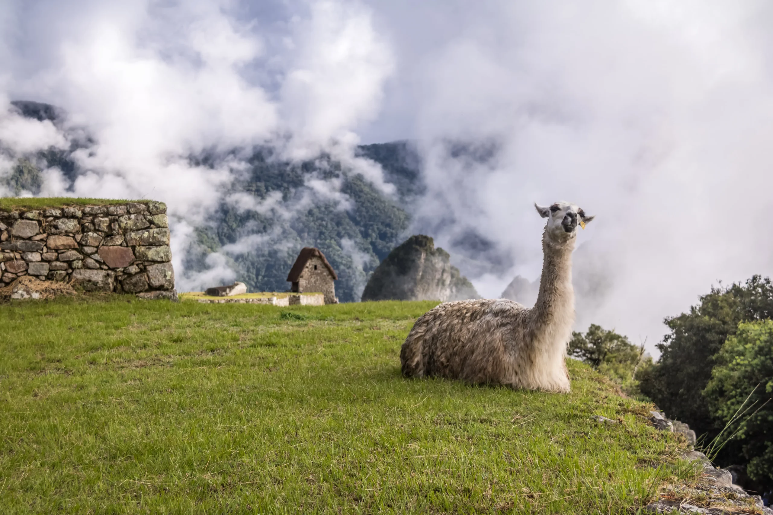 Peru destino